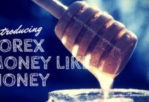 How to earn form Forex Trading