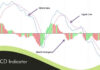 MACD Indicator কিভাবে ব্যবহার করবেন? MACD Indicator