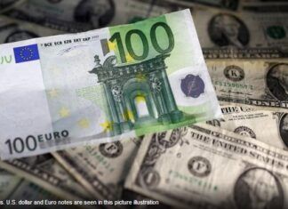 Euro hovers below five-month high; loonie lumbered with softwood tariff