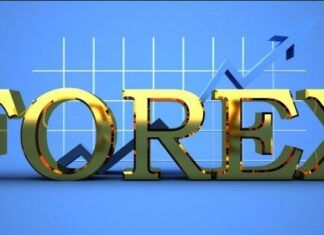 ফরেক্স ট্রেড থেকে প্রফিট করার জন্য কিছু পরামর্শ