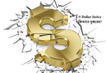 US Dollar Index কিভাবে বুঝবেন? USD Index
