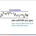 Consolidation Before Breakout