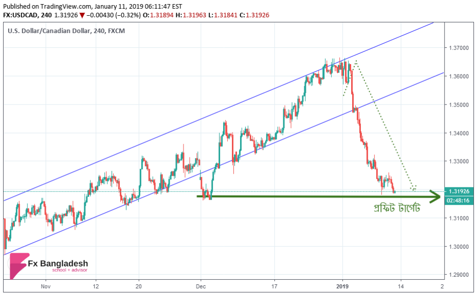 USDCAD Technical Analysis For January 11, 2019 - Price has reached our Profit Target zone according to H4 Time Frame