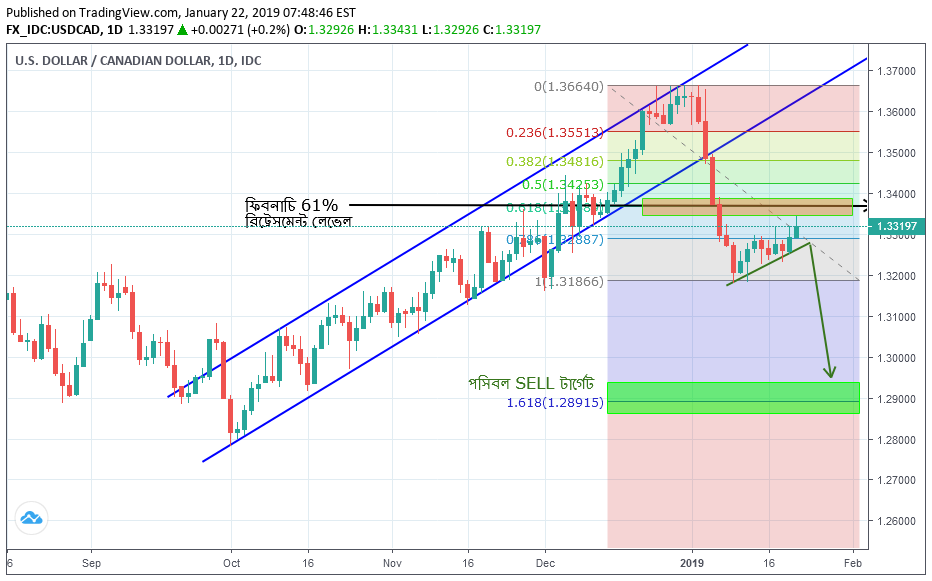 USDCAD Technical Analysis For January 22, 2019 - Price is heading Towards Fib 61% Retracement level Accordingly to Daily Time Frame