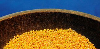 Gold টেকনিক্যাল এনালাইসিস আগস্ট ২২