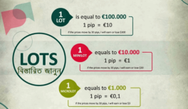 Forex-Lot.png