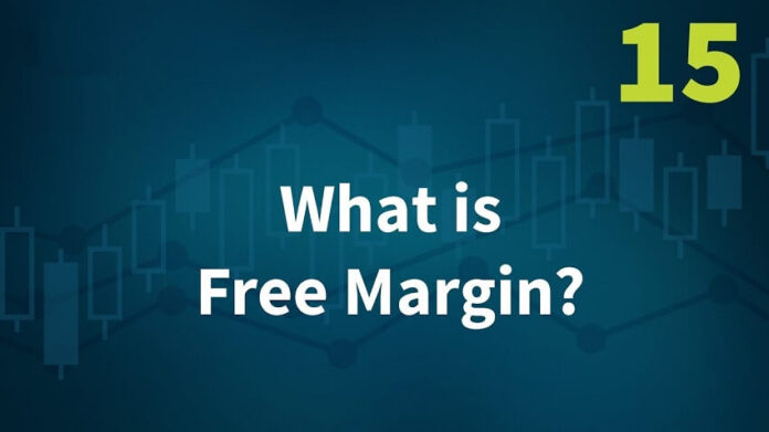 Free Margin | ফ্রি মার্জিন