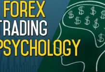 ফরেক্স ট্রেডিং শুরু করার কিছু ধাপ Trading The Forex