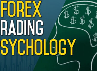 ফরেক্স ট্রেডিং শুরু করার কিছু ধাপ Trading The Forex