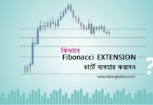Fibonacci Extensions Fibonacci Extensions Level