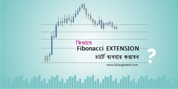 Fibonacci Extensions Level
