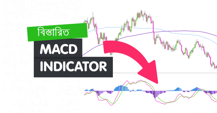 MACD Indicator