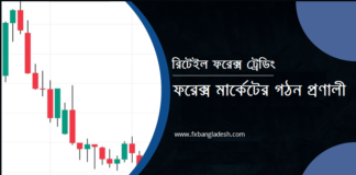 ফরেক্স মার্কেটের গঠন