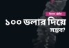 100 Dollar Trading System 100 Dollar Trading System